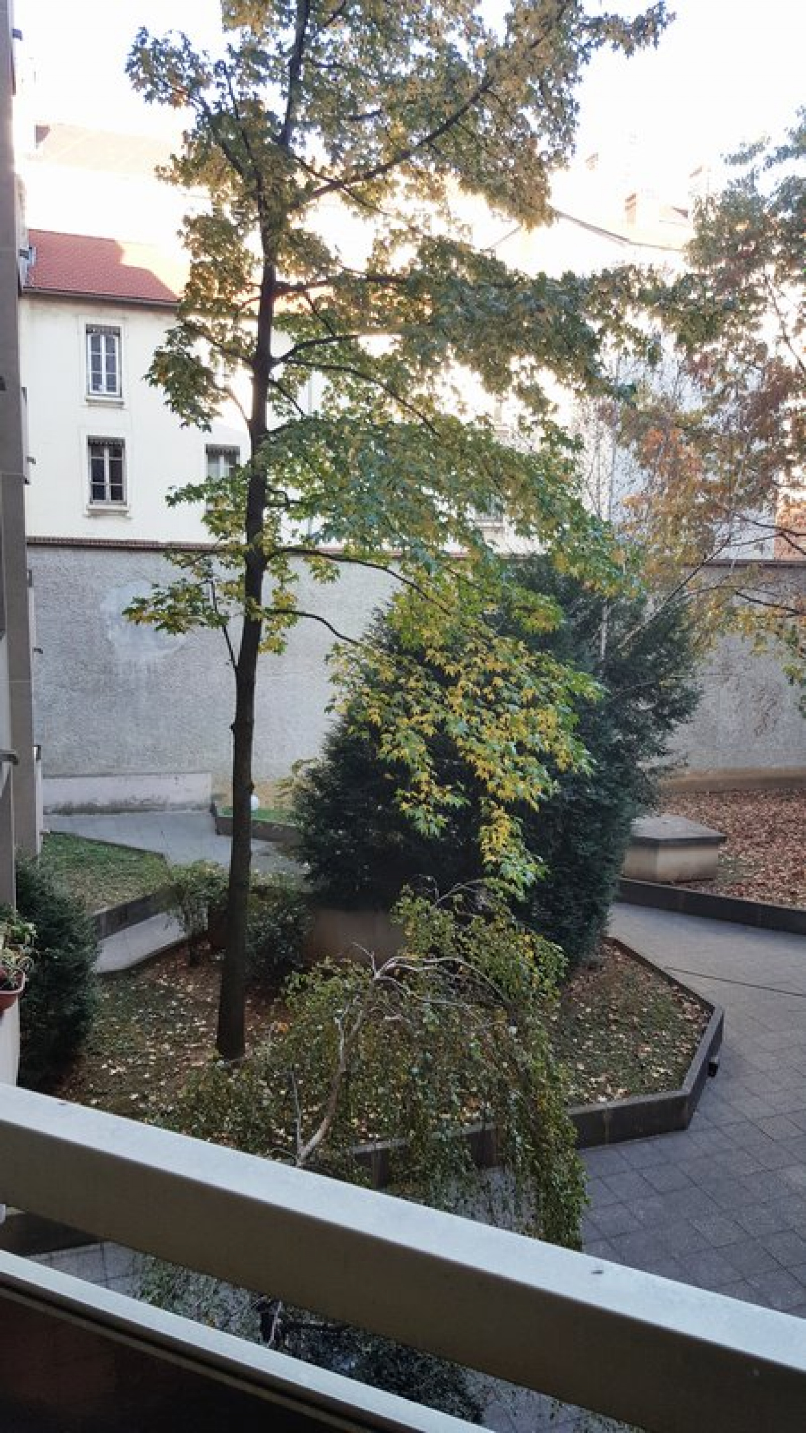 Image_4, Appartement, Lyon, ref :1102-1207